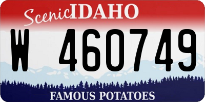 ID license plate W460749