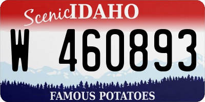 ID license plate W460893