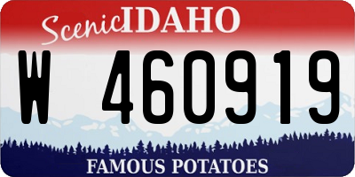 ID license plate W460919