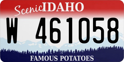 ID license plate W461058