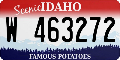 ID license plate W463272