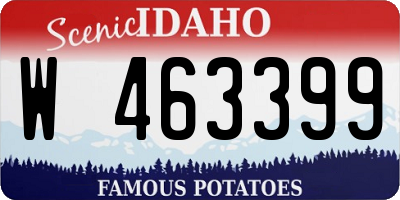 ID license plate W463399