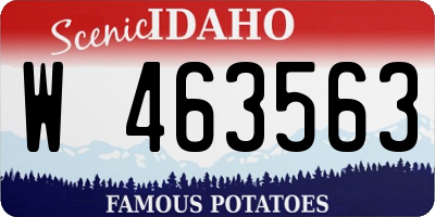 ID license plate W463563