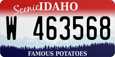 ID license plate W463568