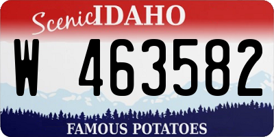 ID license plate W463582