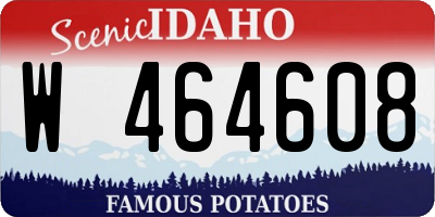 ID license plate W464608