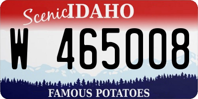 ID license plate W465008