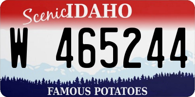 ID license plate W465244