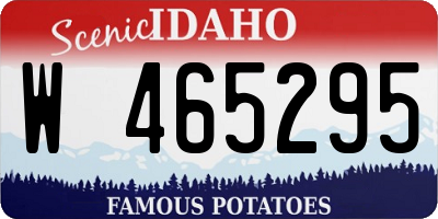 ID license plate W465295