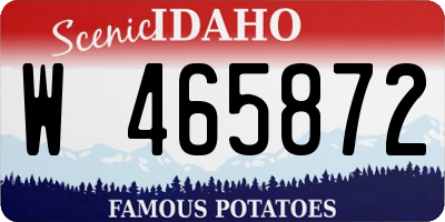 ID license plate W465872