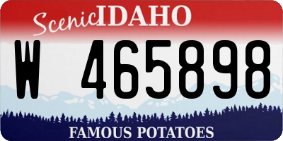 ID license plate W465898