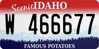 ID license plate W466677