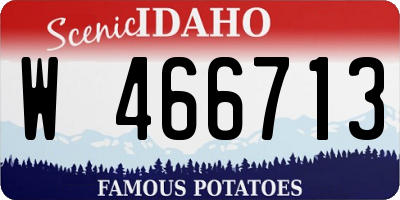 ID license plate W466713