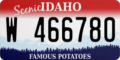 ID license plate W466780