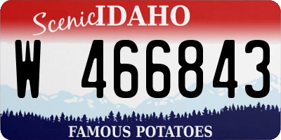 ID license plate W466843