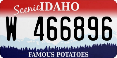 ID license plate W466896