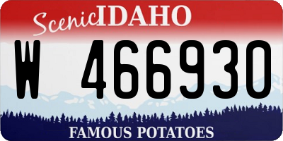 ID license plate W466930