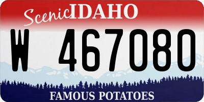ID license plate W467080