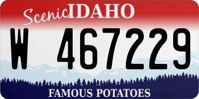 ID license plate W467229