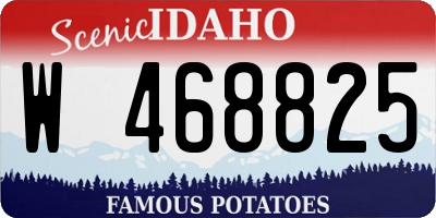 ID license plate W468825