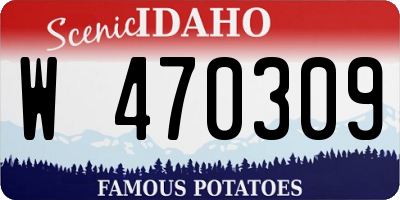 ID license plate W470309