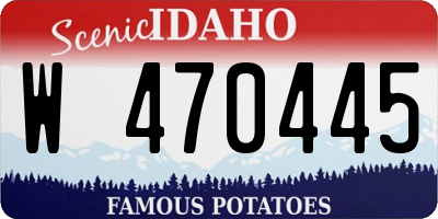 ID license plate W470445