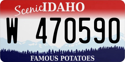 ID license plate W470590