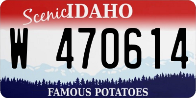 ID license plate W470614