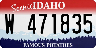 ID license plate W471835