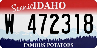 ID license plate W472318