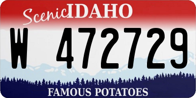 ID license plate W472729