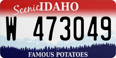 ID license plate W473049