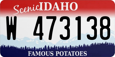 ID license plate W473138