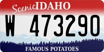 ID license plate W473290