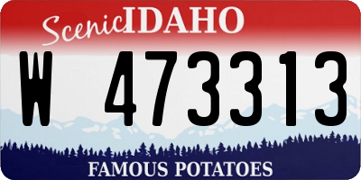 ID license plate W473313