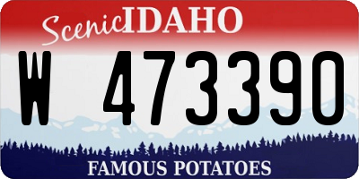ID license plate W473390