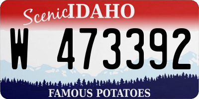 ID license plate W473392