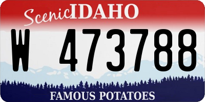 ID license plate W473788