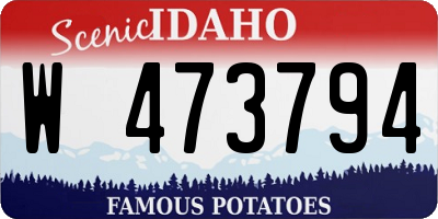 ID license plate W473794