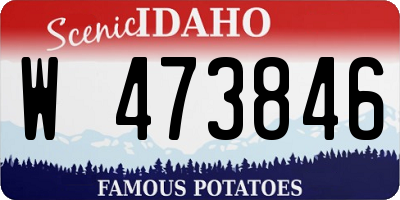 ID license plate W473846