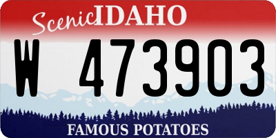 ID license plate W473903