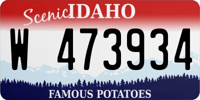 ID license plate W473934