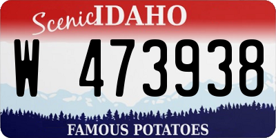 ID license plate W473938