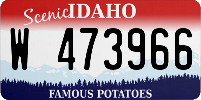 ID license plate W473966
