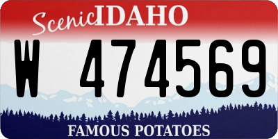 ID license plate W474569