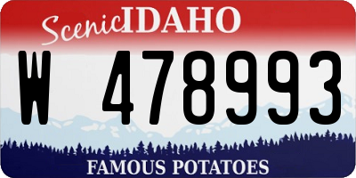 ID license plate W478993
