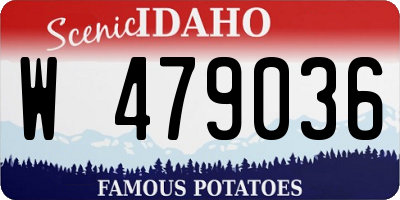 ID license plate W479036