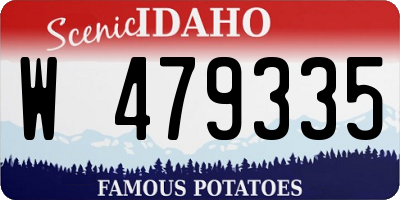 ID license plate W479335