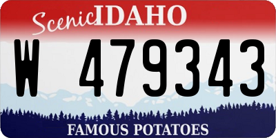 ID license plate W479343