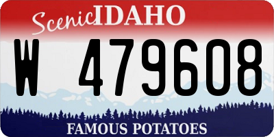 ID license plate W479608
